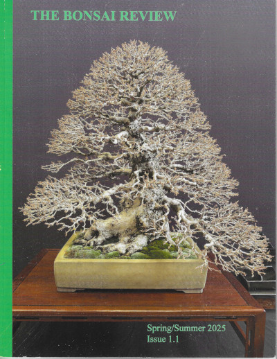 The Bonsai Review, Spring/Summer 2025, Issue 1.1